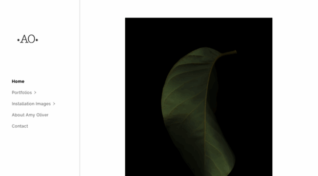 amyoliver.net