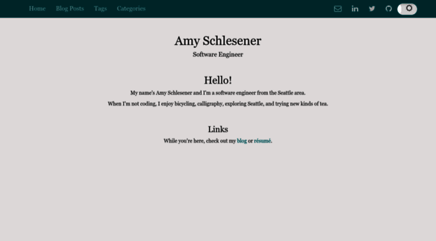 amyschlesener.com