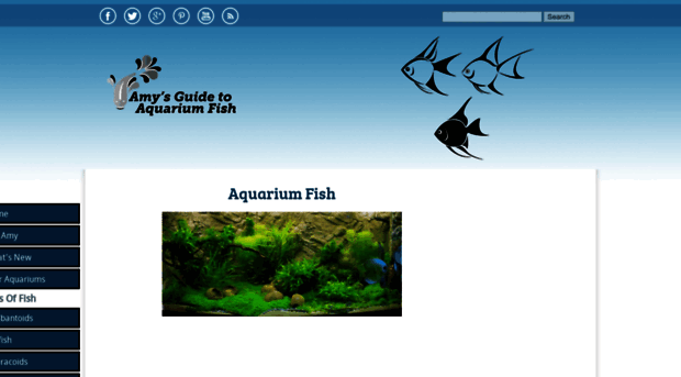 amysguidetoaquariumfish.com