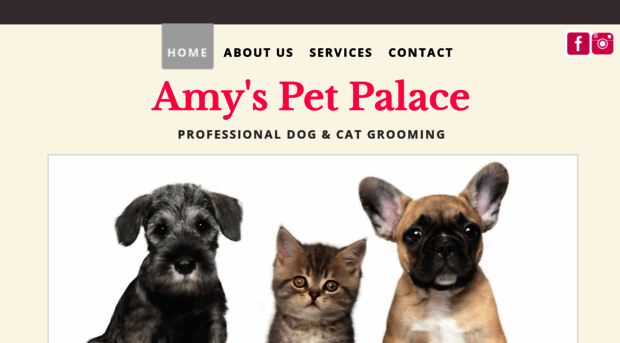 amyspetpalace.com