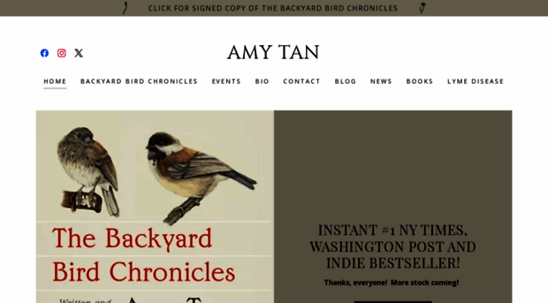 amytan.net