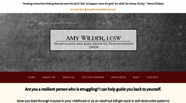 amywilderlcsw.com