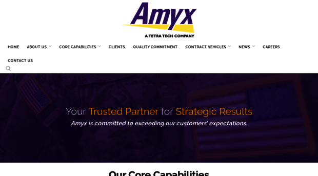 amyx.com