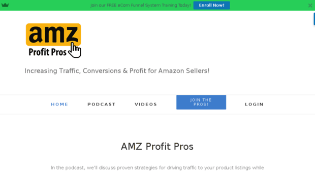 amzprofitpros.com