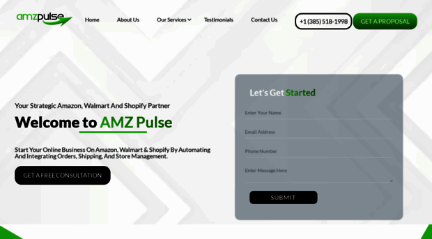 amzpulse.com