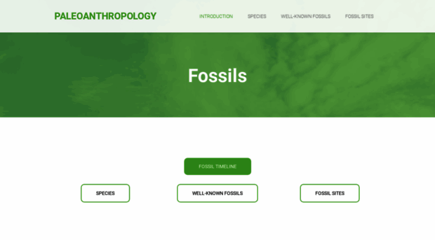 ana215fossils.weebly.com