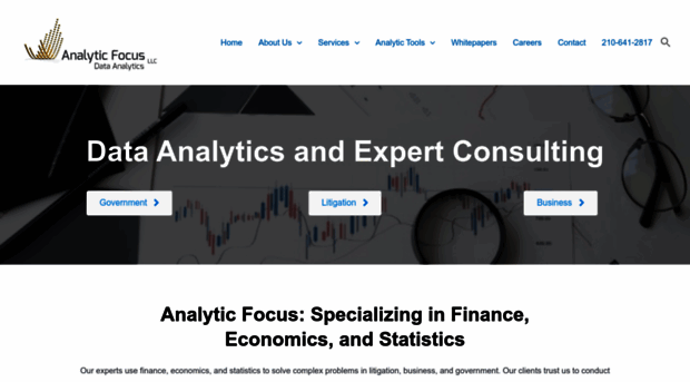 analyticfocus.com