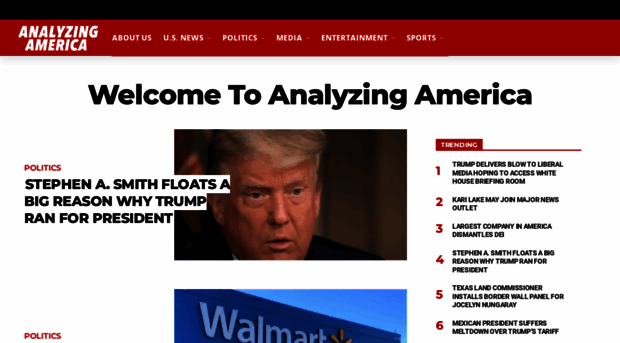 analyzingamerica.org