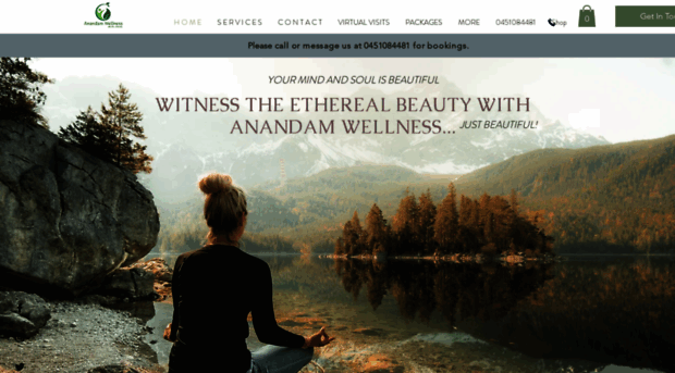 anandamwellness.com