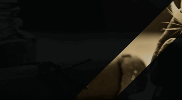 anandbliss.expertscolumn.com