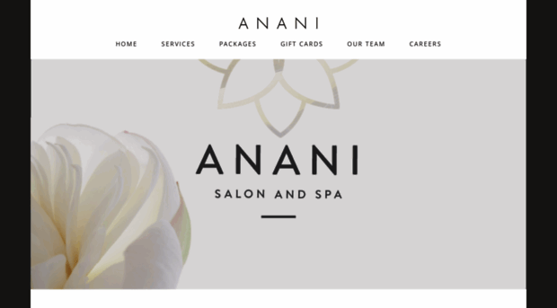 ananisalonandspa.com