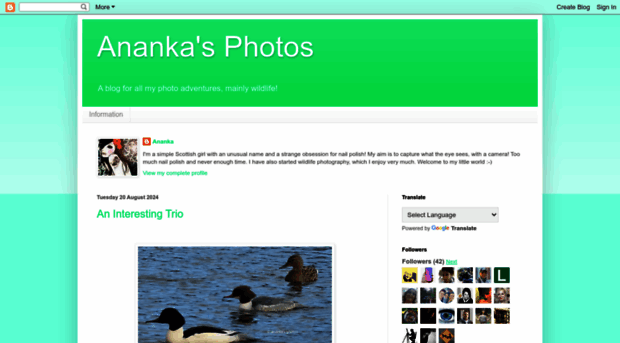 ananka1.blogspot.com