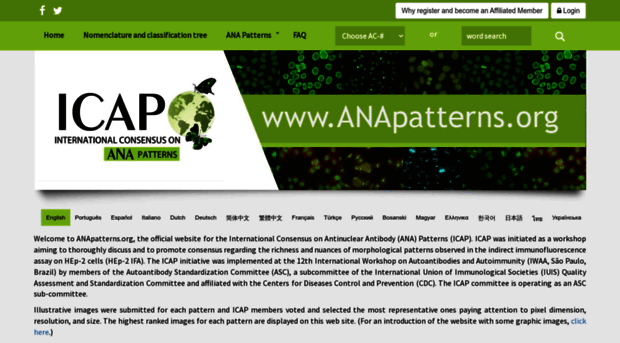 anapatterns.org