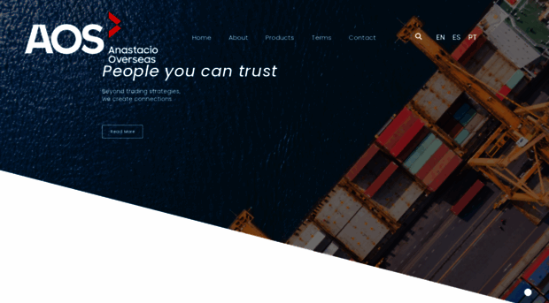 anastaciooverseas.com