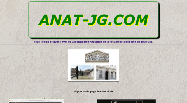 anat-jg.com