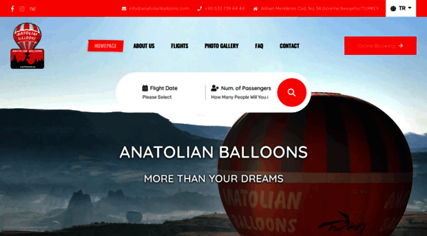 anatolianballoons.com