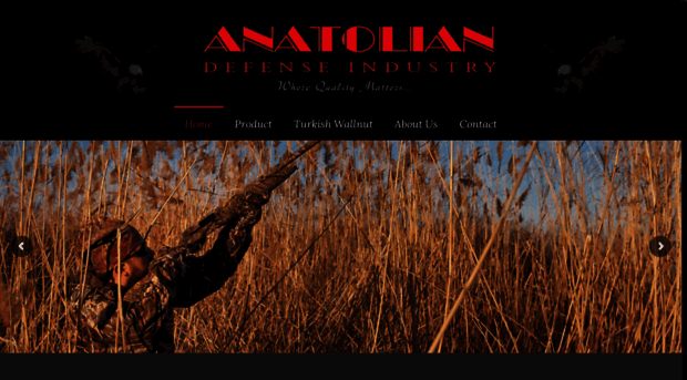 anatoliandefense.com