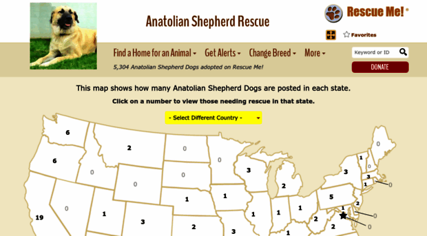 anatolianshepherd.rescueme.org