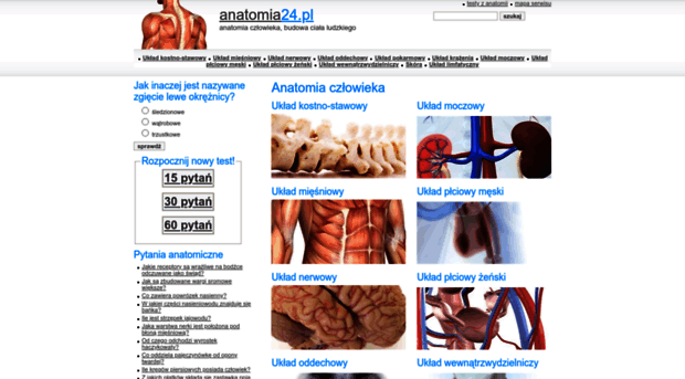 anatomia24.pl