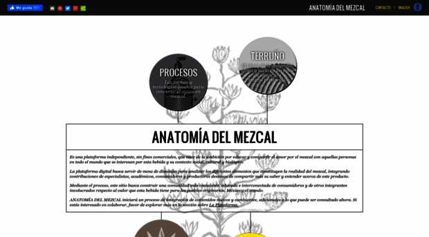 anatomiadelmezcal.net