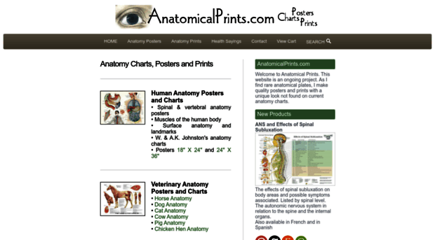 anatomicalprints.com