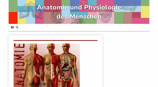 anatomie-online.com