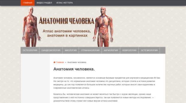 anatomiya-atlas.ru