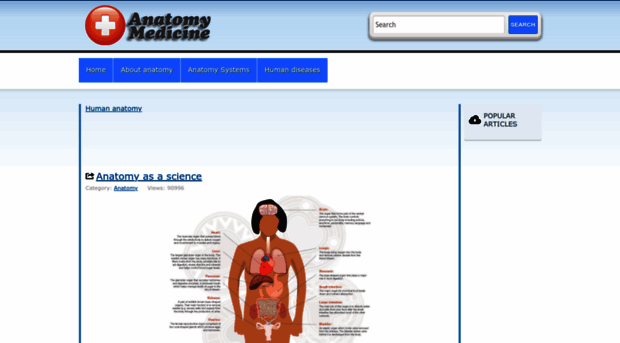 anatomy-medicine.com