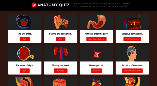 anatomy-quiz.com