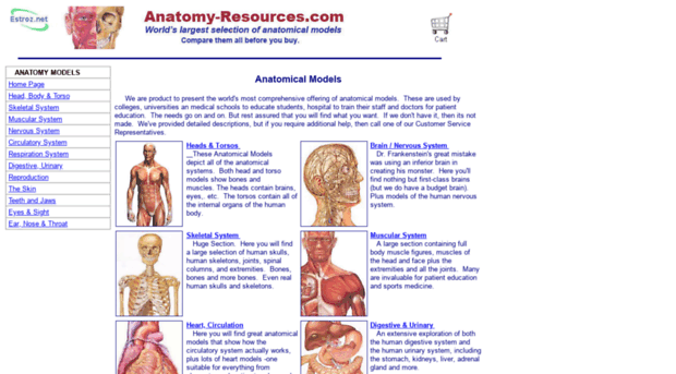 anatomy-resources.com