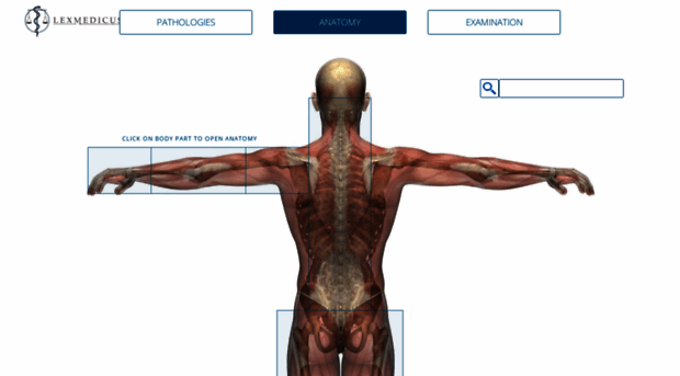 anatomy.lexmedicus.com.au