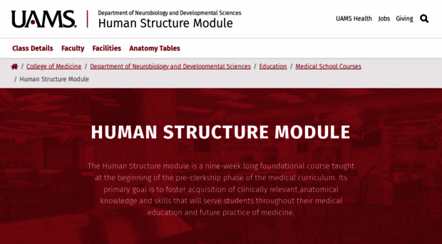 anatomy.uams.edu