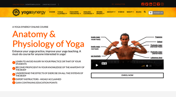 anatomy.yogasynergy.com