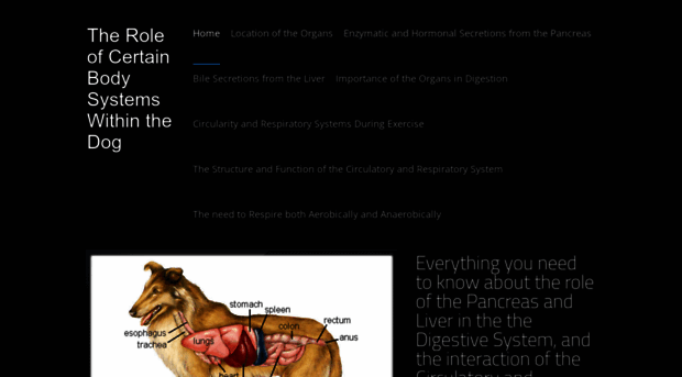 anatomyfacts.weebly.com