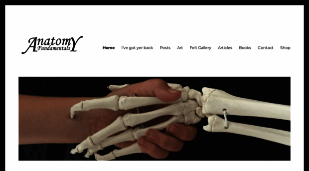 anatomyfundamentals.com