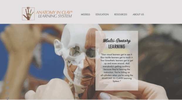 anatomyinclay.com