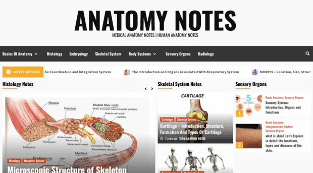 anatomynotes.org