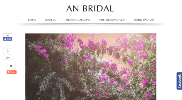 anbridal.net