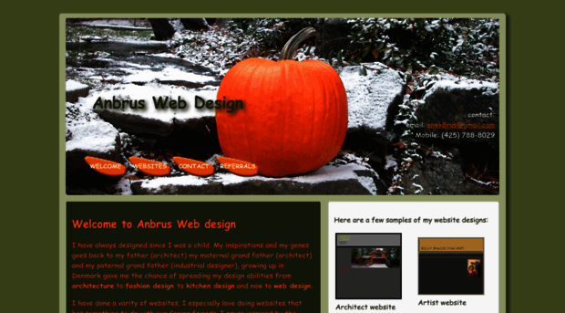 anbruswebdesign.com