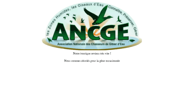 ancge.asso.fr