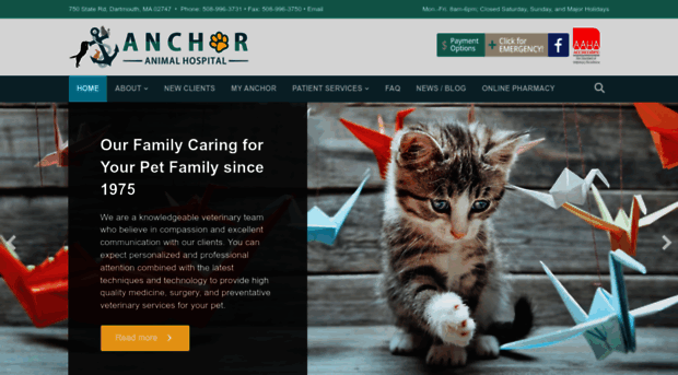 anchoranimalhospital.com