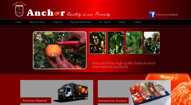 anchorfruits.com