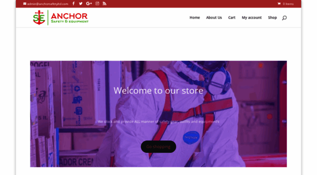 anchorsafetyltd.com