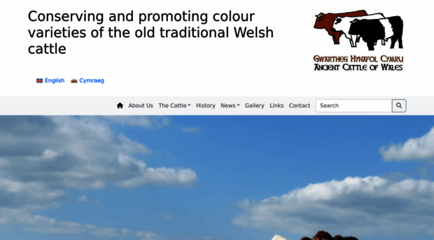 ancientcattleofwales.org