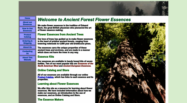 ancientforestessences.com