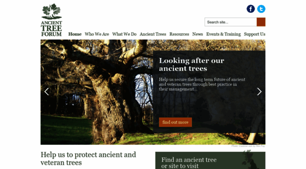 ancienttreeforum.co.uk