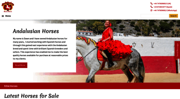 andalusianhorsedirect.com