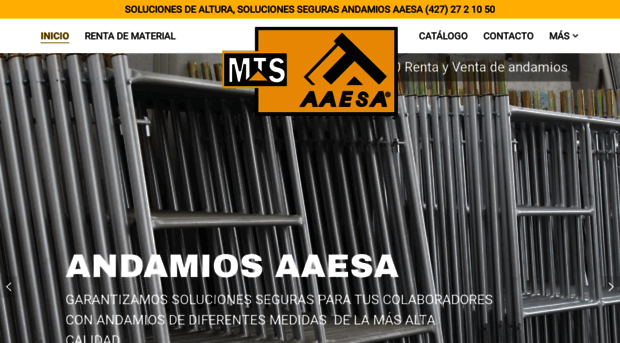 andamiosaaesa.com.mx
