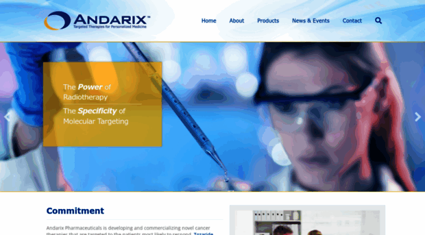 andarix.com