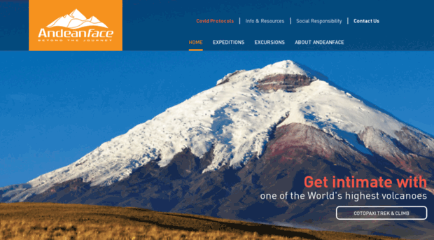 andeanface.com